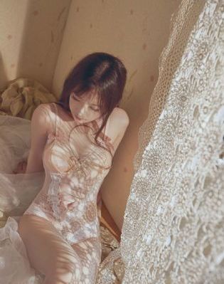 十五大规划的四大重点工程_DVD完整视频观看